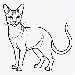 Fototapeta premium Abyssinian line art White background illustration Generative Ai