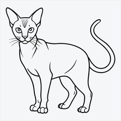 Fototapeta premium Abyssinian line art White background illustration Generative Ai