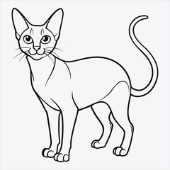 Fototapeta premium Abyssinian line art White background illustration Generative Ai