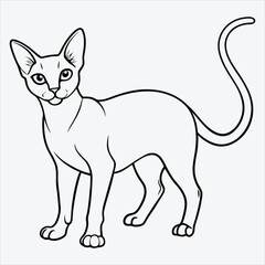 Obraz premium Abyssinian line art White background illustration Generative Ai