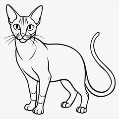 Obraz premium Abyssinian line art White background illustration Generative Ai