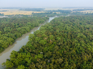Aerial Drone View of The Sundarbans Mangrove Forest in Khulna, Bangladesh