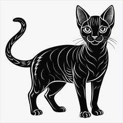Fototapeta premium Abyssinian Silhouette White background illustration. Generative Ai