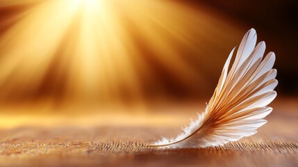 Fototapeta premium a white feather resting on a wooden table with the sun shining brightly in the background, creating a beautiful and peaceful atmosphere
