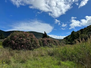 Scenic nature in mountains of Montenegro at summer