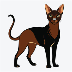Obraz premium Abyssinian vector White background illustration Generative Ai
