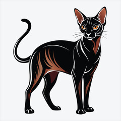 Obraz premium Abyssinian vector White background illustration Generative Ai