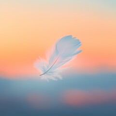 Naklejka premium A feather blown away from the nest due to wind