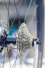 detail of the gear disc sprocket of a road racing competition bike