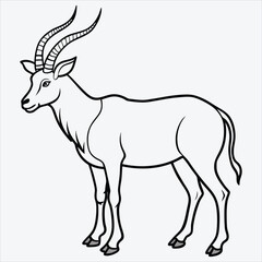 Obraz premium Addax line art White background illustration Generative Ai