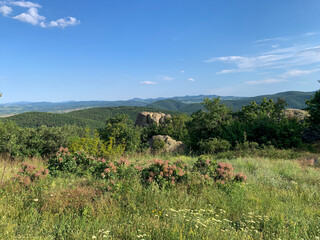 A vibrant meadow filled with wildflowers frames a stunning view of the Rhodope Mountains under a clear blue sky. 