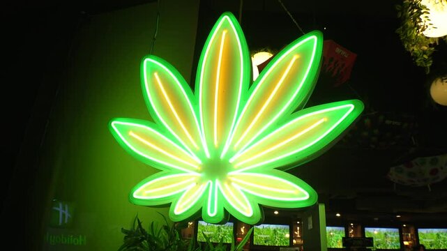 BANGKOK, THAILAND - AUGUST 2024 : View of weed (marijuana or cannabis) store in Bangkok. Medical and drug concept video.