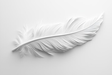 Obraz premium White feather on a clean white background, emphasizing simplicity and purity