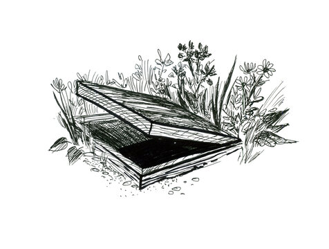 A graphic image of a half-open wooden lid of an underground cellar.. Black and white vintage sketch. Hand drawn vintage cellar isolated. Sketch vector illustration drawn in engraving style