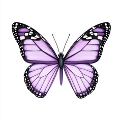 a minimalist butterfly wings clipart, simple outline, soft purple, isolated on white background