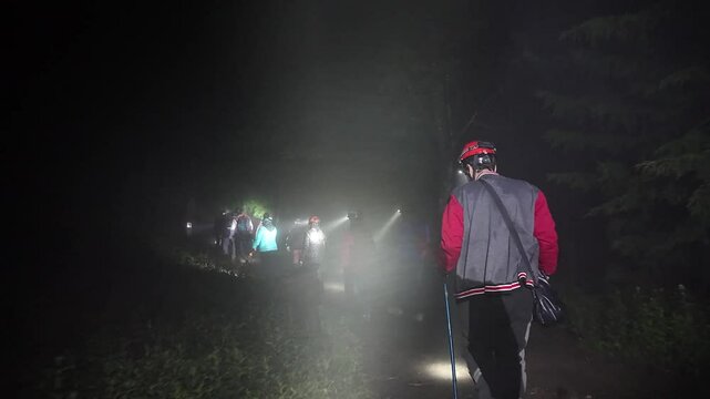 Group of hikers navigating a dark forest trail with flashlights during nighttime adventure