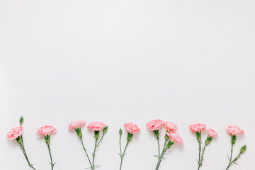 Pink carnation flowers background with copy space on white wooden background, postcard, invitation or design