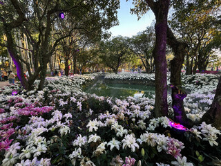 Beautiful Flower Arrangements Adorning the Festival, Chiang Rai Flower Festival, Thailand