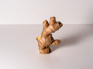 ginger root, stands on a white background with a delicate shadow