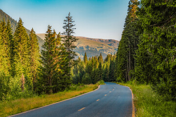Obraz premium Romania Transalpina road with many serpentines crossing forest in Carpathian mountains. Mountains forest trees with road in Parang mountains