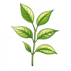 Fototapeta premium Delicate Green Leaves on a Slender Stem Showcasing Nature's Beauty in a Simple, Elegant Design