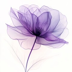 Obraz premium Beautiful Purple Flower With Delicate Translucent Petals Against a Soft Background Capturing the Essence of Nature's Elegance