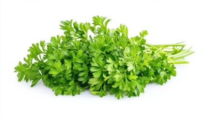 Fototapeta premium Parsley isolated on white background, full depth of field