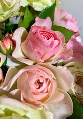 Naklejka premium pink roses bouquet