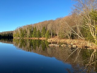 Obraz premium Lake and forest reflections