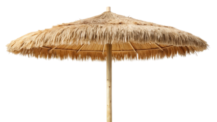 Tropical thatched umbrella providing shade at a beach location during sunny weather
