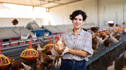 young Latin woman farmer worker in gloves taking care of chicken during work in henhouse, indoors © JackF