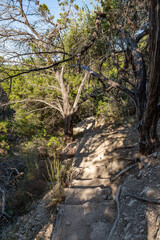 Fototapeta premium River Place Nature Trail