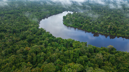 BLACK WATER RIVER IN THE PERUVIAN AMAZON, THE NANAY RIVER IS A LARGE IGAPO SURROUNDED BY LARGE...