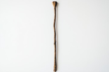 Obraz premium wooden stick on plain backdrop