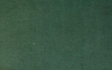 This grimy cardboard paper is dated 1807 from India, with dirty plantation and antique dark grayish spring green colours. Features a rough medieval paper parchment and is an empty design. Textured.