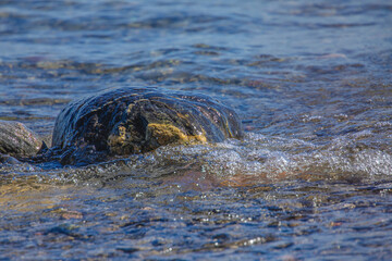 Fototapeta premium Waves Washing Over A Rock In the Lake