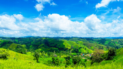 Serenity in Nature: Stunning Scenic Views