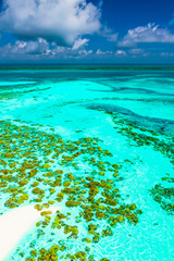 Serenity in Nature: Stunning Scenic Views