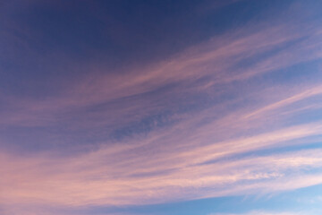 Fototapeta premium Evening Blue Pink Sky with Clouds Abstract Texture Background.
