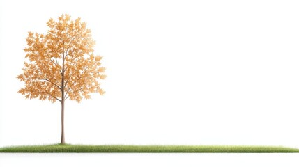 Fototapeta premium Solitary autumn tree in minimalist landscape on a grass strip