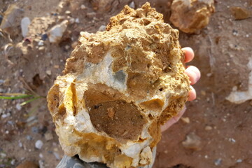Fragment of a large quartz secretion in hand, searching for mineral samples