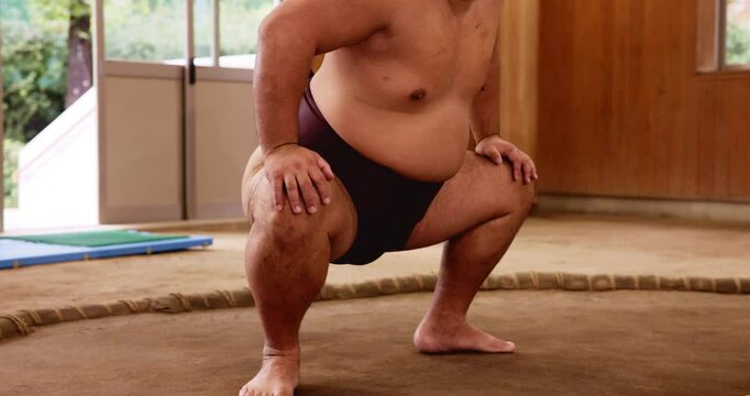 Sumo, japanese wrestler and training with practice in ring for match fitness, traditional exercise and leg stretching. Warm up, man and shiko with squats for flexibility workout and getting ready