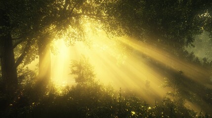 Golden sunlight streams through lush forest foliage, creating a magical atmosphere on a misty morning among the trees.