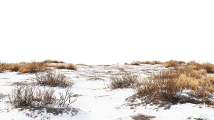 Barren tundra landscape featuring patches of snow and vegetation