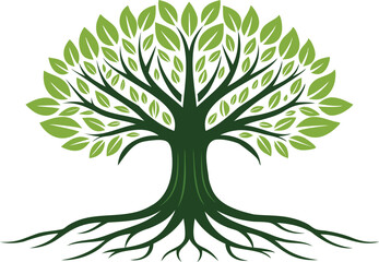 Fototapeta premium tree with roots