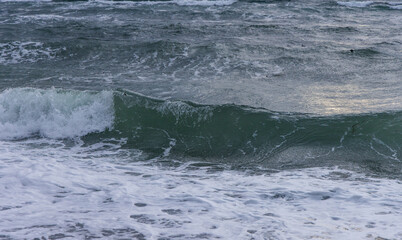Ocean Waves Crashing on Shore in Victoria, Vancouver Island