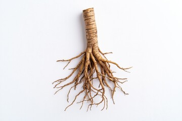 Obraz premium Pale Yellow Ginseng Root with Multiple Branches on a White Background