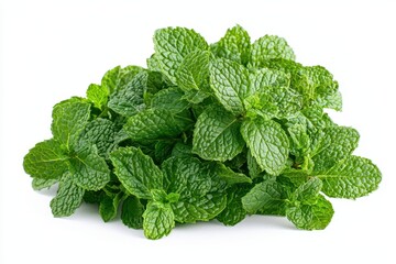 Fototapeta premium Fresh Mint Leaves with Vibrant Green Color Isolated on White Background