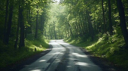 Obraz premium Winding Road Through Lush Green Forest