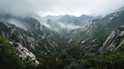 Obraz premium Misty valley surrounded by mountains during a cloudy day